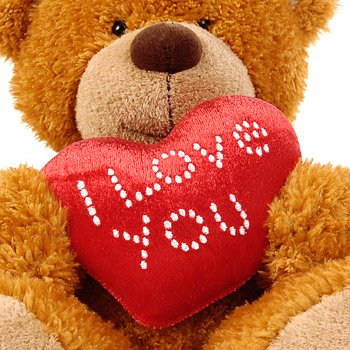 922-i_love_you_teddy_bear