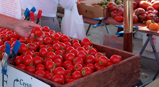 Fall farmer's markets across Canada