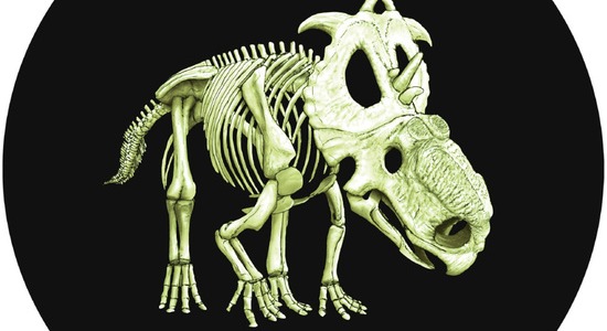 The Canadian Mint makes a glow in the dark dinosaur coin
