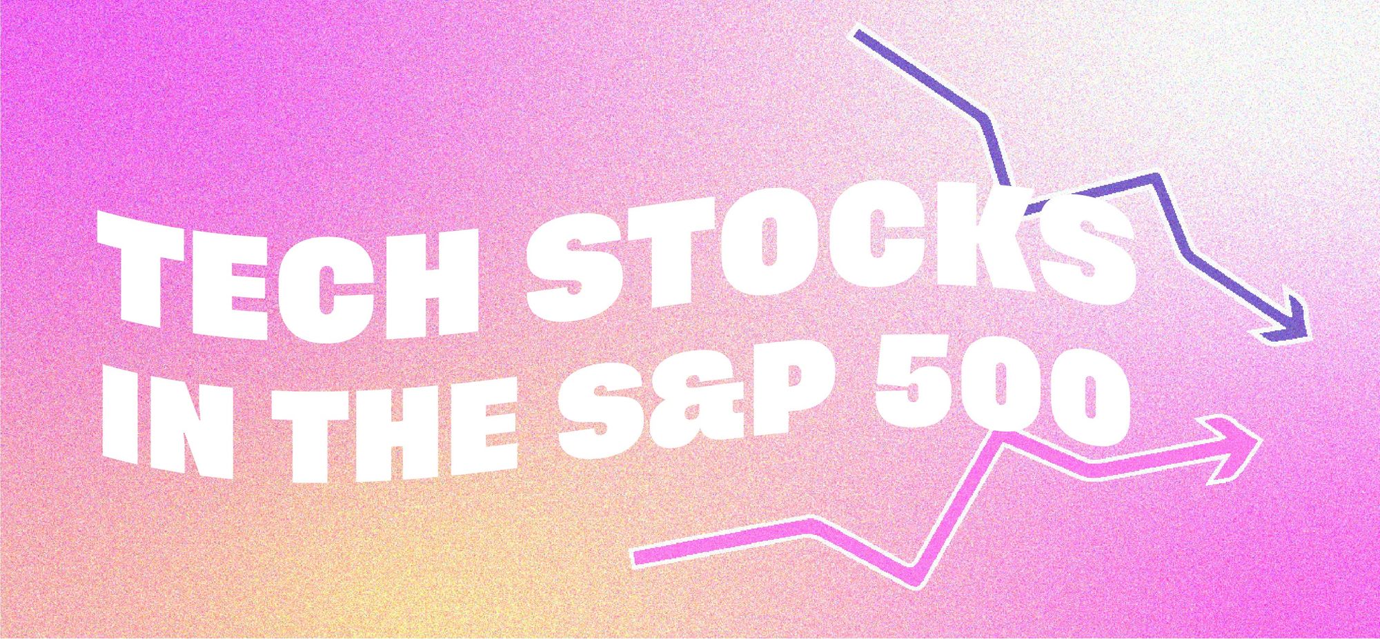 Tech Stocks in the S&P 500